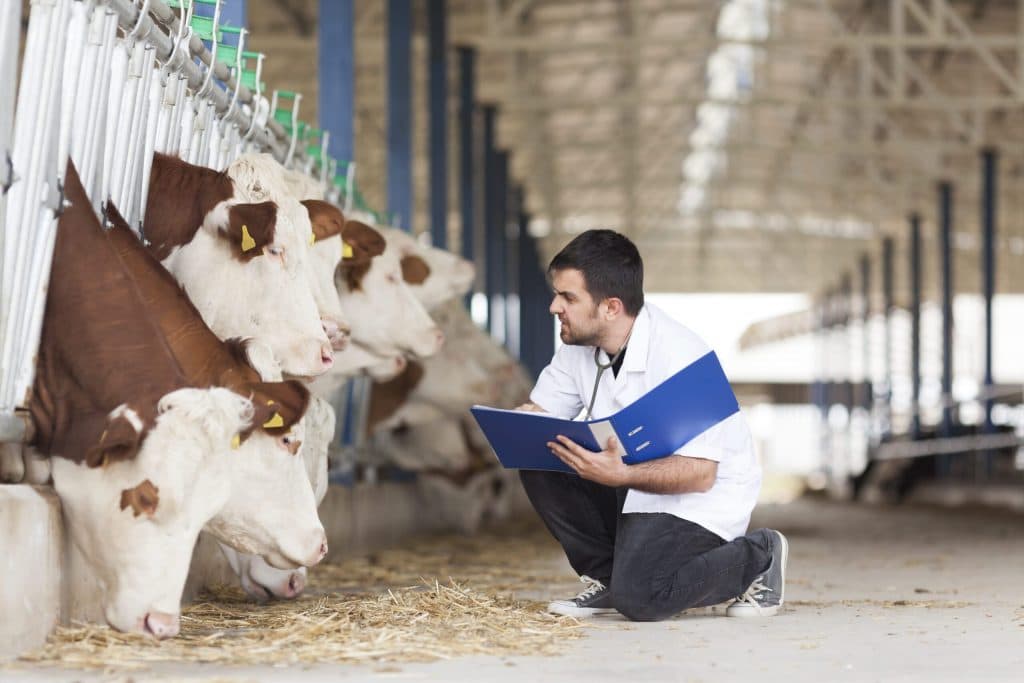 Veterinary Software