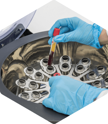 animal diagnostic testing