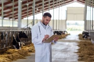 Bull Breeding Vet Software UK