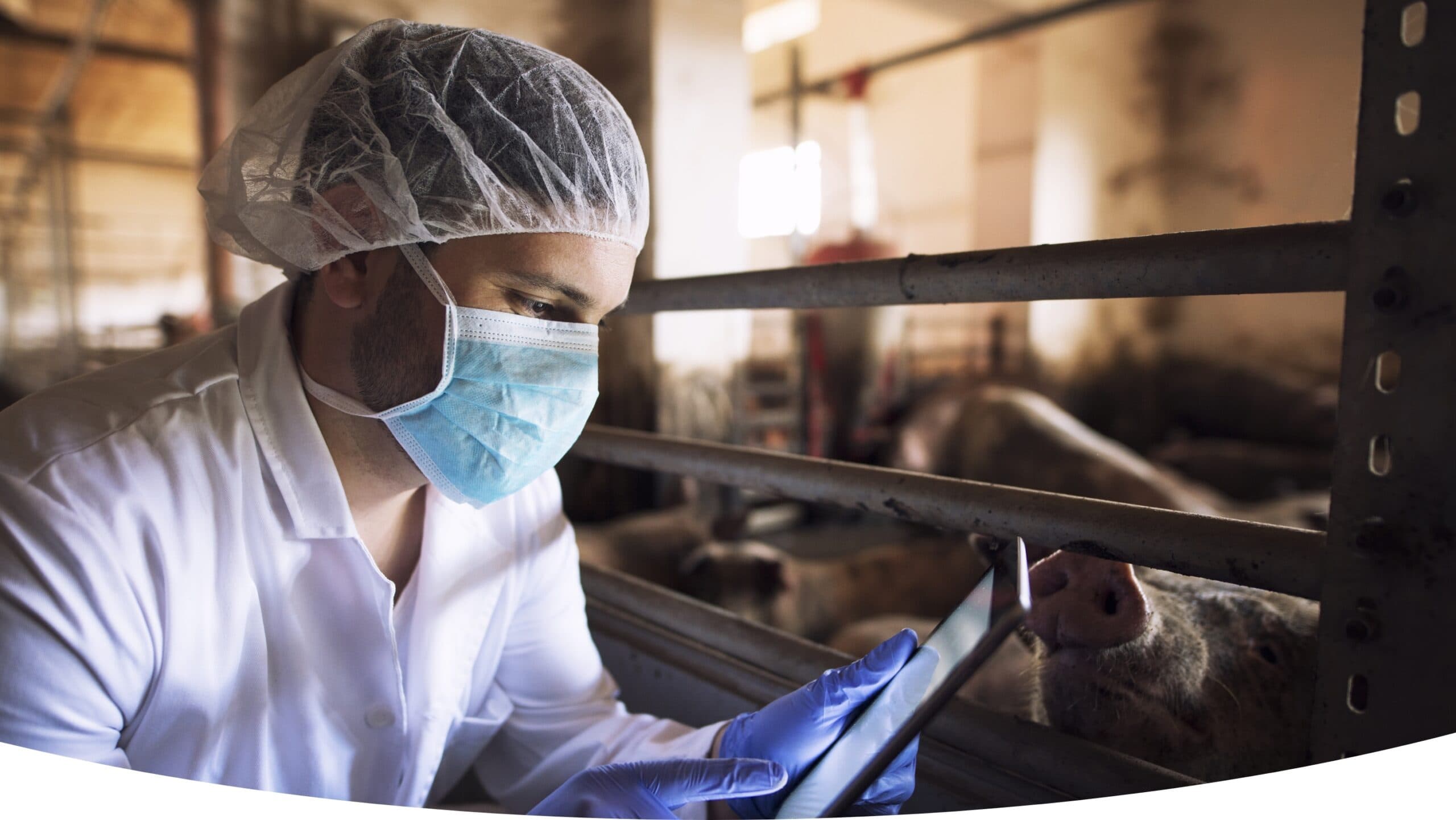 Vaccination Management